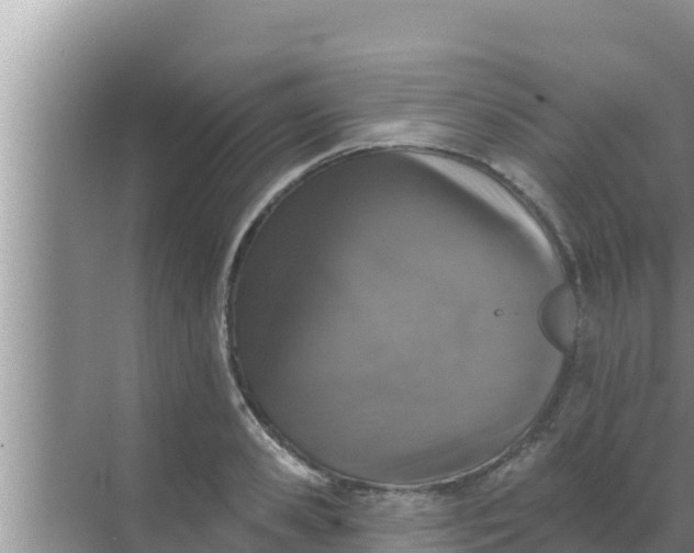 X0000069380941200605262047