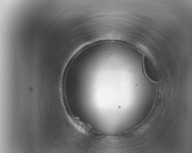 X0000069380942200605262047