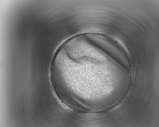 X0000069380944200605262047