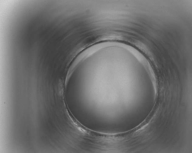 X0000069380945200605262047