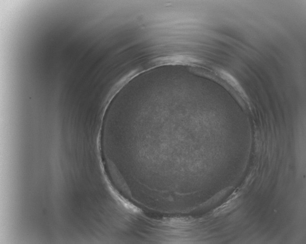 X0000069380946200605262047