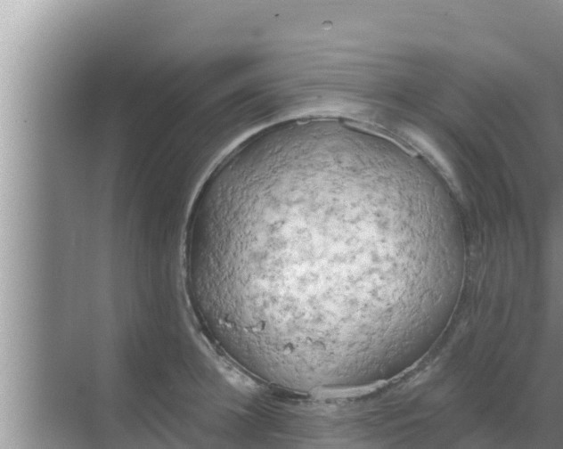 X0000069380948200605262047