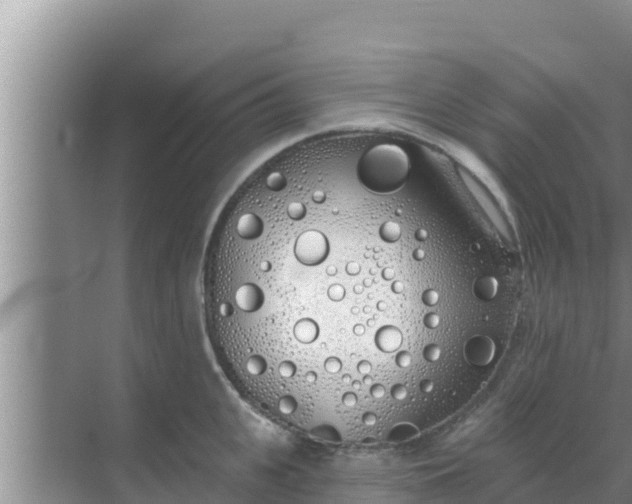 X0000069380951200605262047