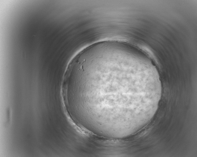 X0000069380952200605262047