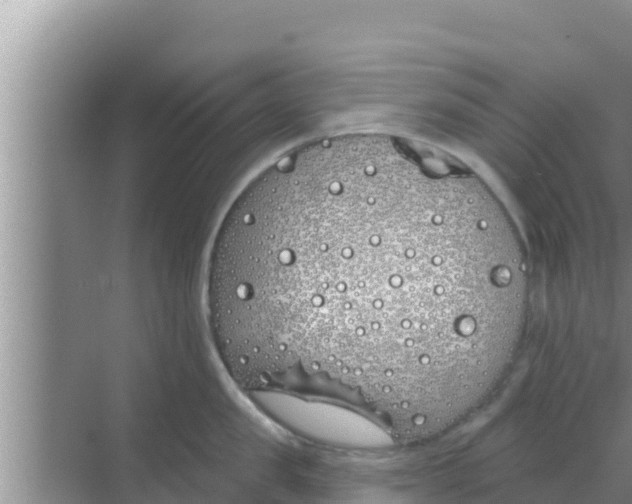 X0000069380957200605262047