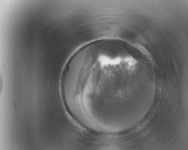 X0000069380958200605262047