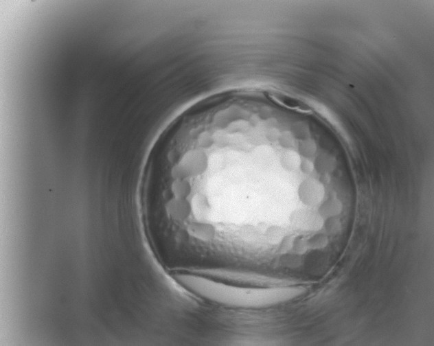 X0000069380959200605262047