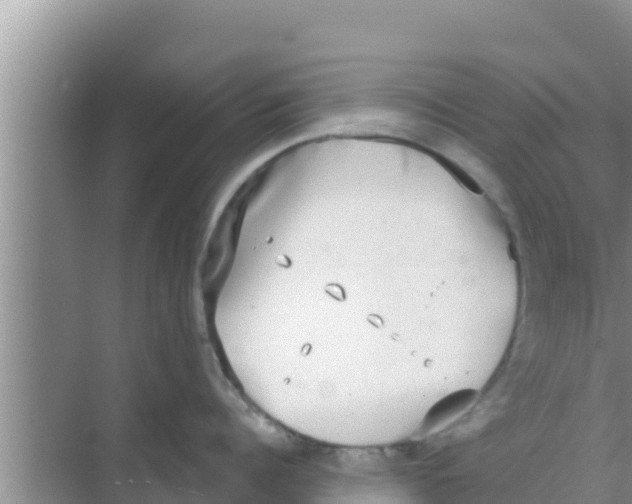 X0000069380960200605262047