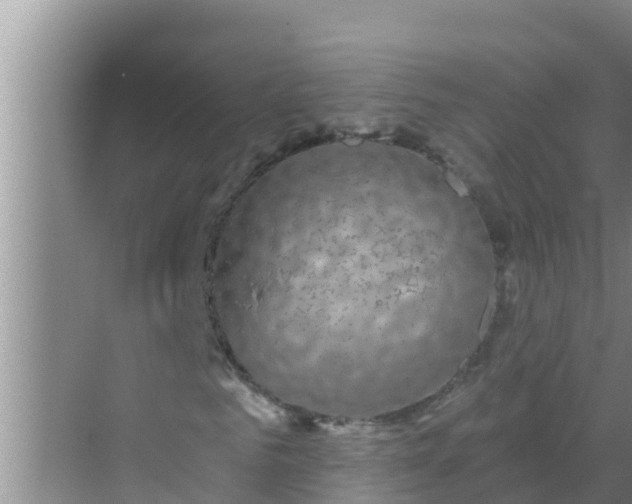 X0000069380961200605262046