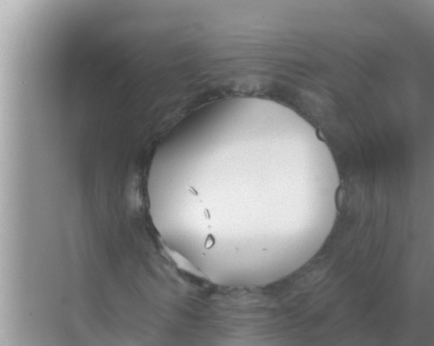 X0000069380962200605262046