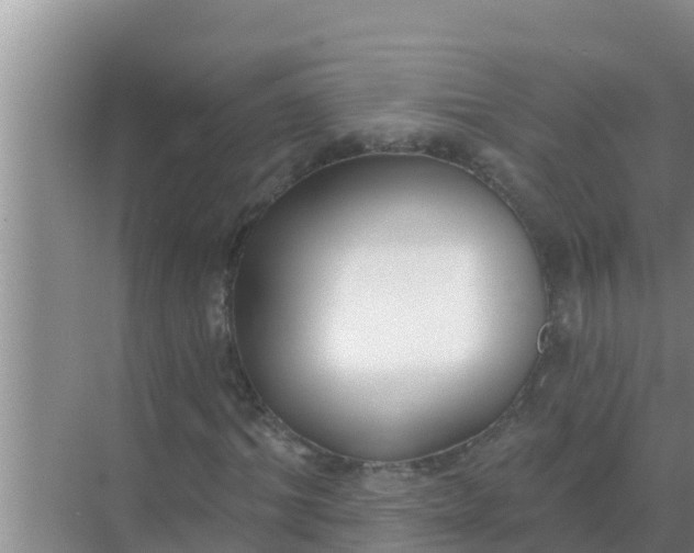 X0000069380964200605262046