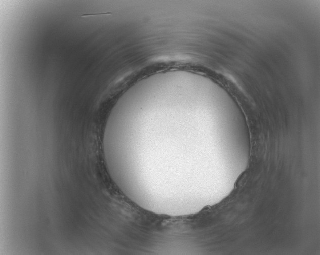 X0000069380967200605262046