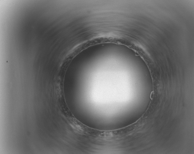 X0000069380968200605262046