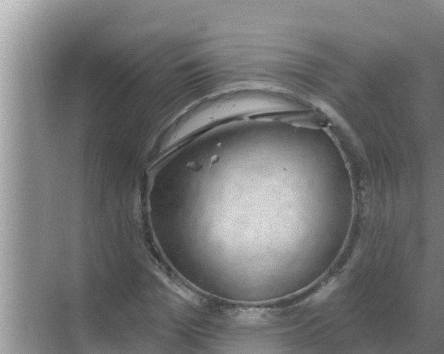 X0000069380969200605262046