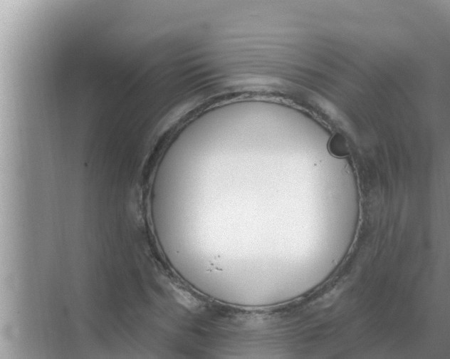 X0000069380970200605262046