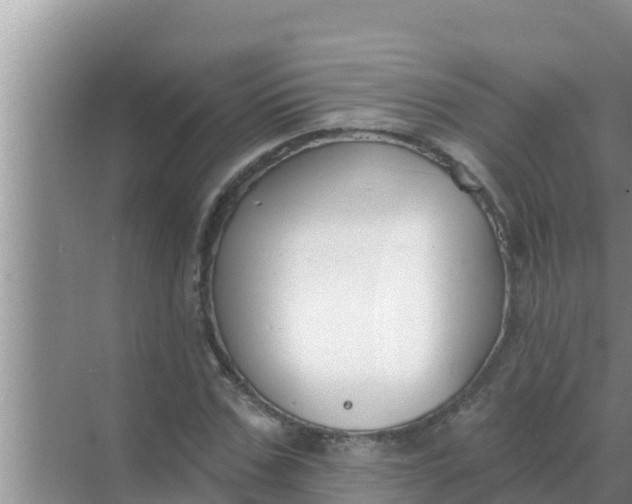 X0000069380971200605262046