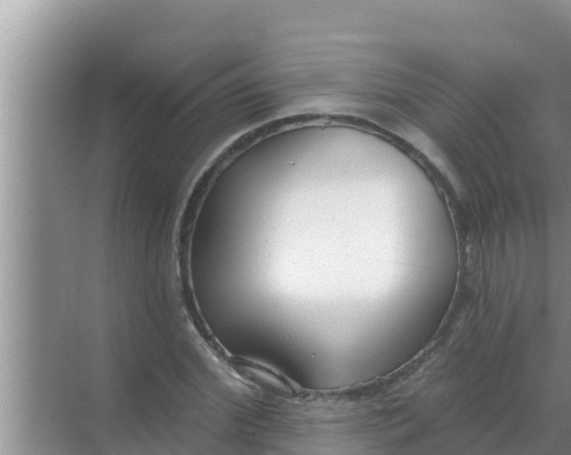 X0000069380972200605262046