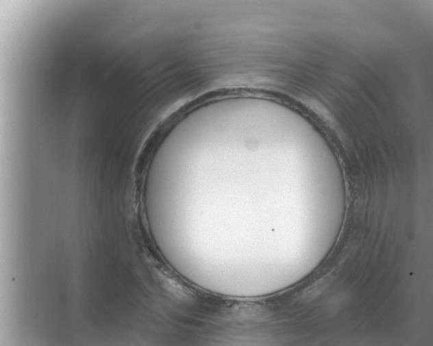 X0000069380974200605262046