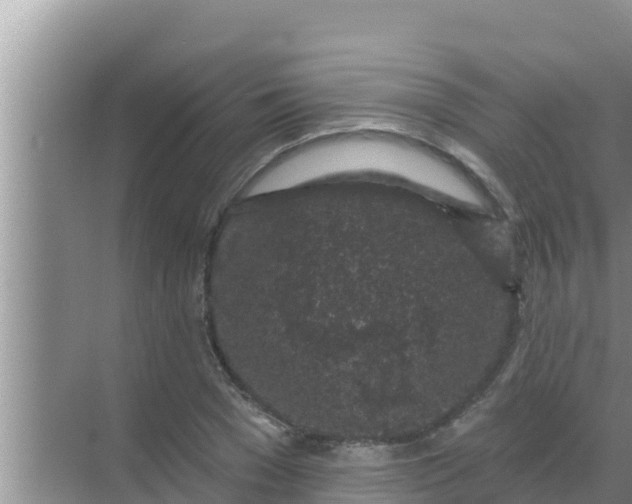 X0000069380977200605262046