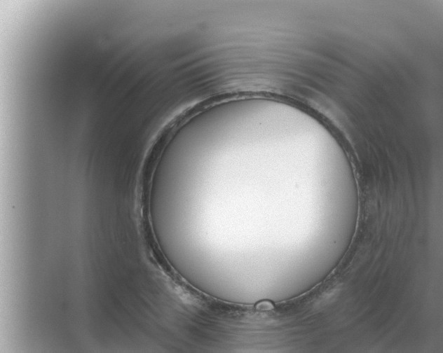 X0000069380979200605262046