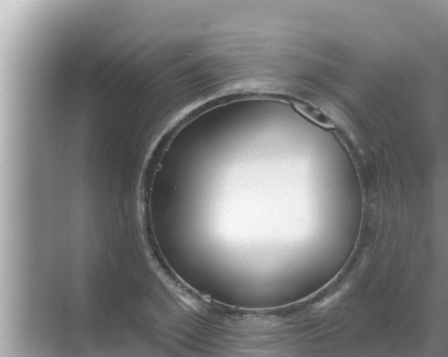 X0000069380981200605262046