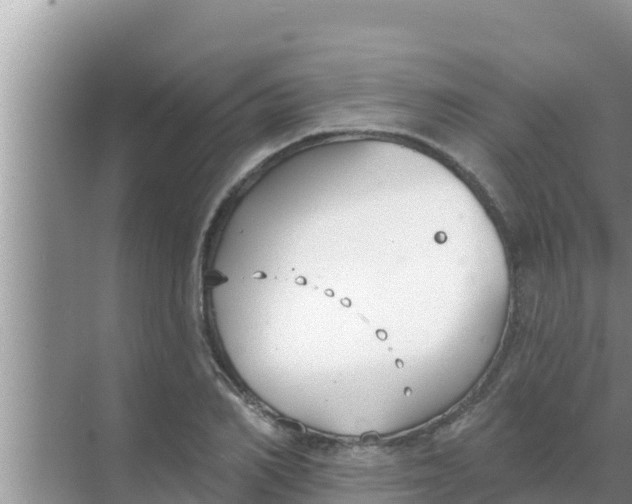 X0000069380982200605262046