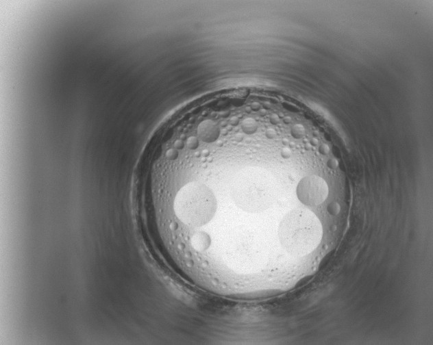 X0000069380983200605262046