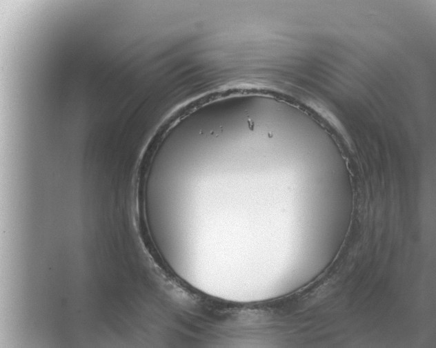 X0000069380984200605262046