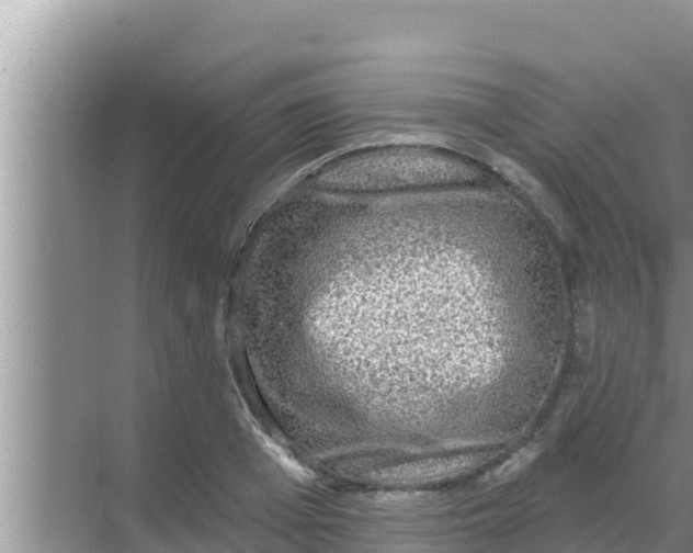 X0000069380985200605262046