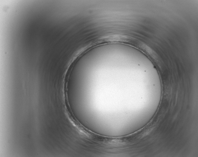 X0000069380986200605262046