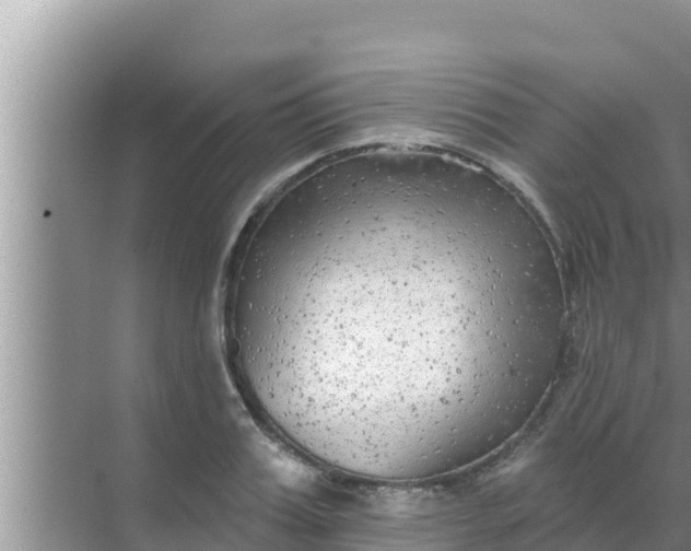 X0000069380987200605262046