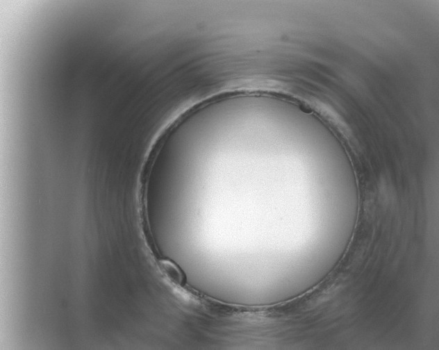 X0000069380990200605262046