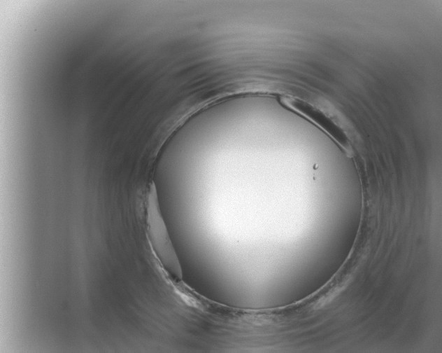 X0000069380993200605262046