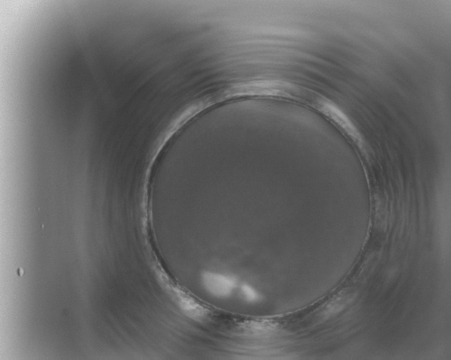 X0000069380994200605262046