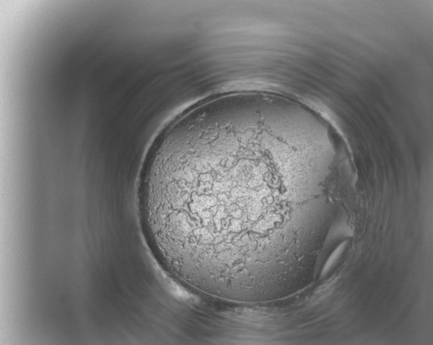 X0000069380995200605262046