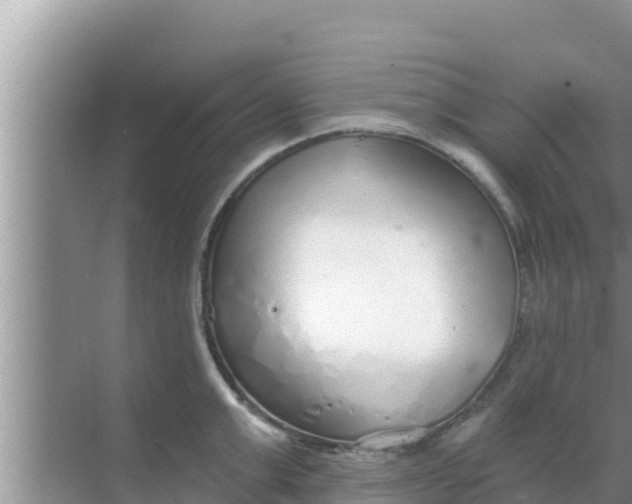 X0000069380999200605262046