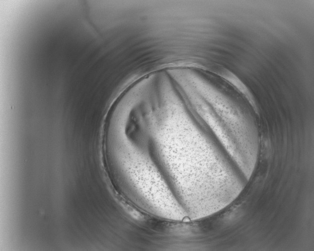 X0000069381002200605262046