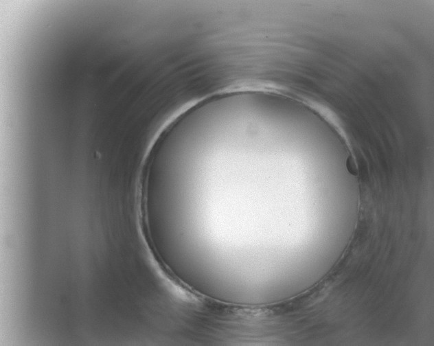 X0000069381003200605262046