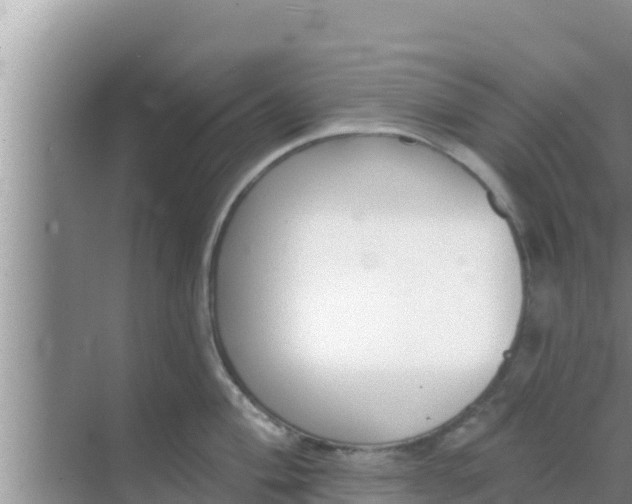 X0000069381004200605262045