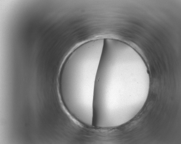 X0000069381005200605262045