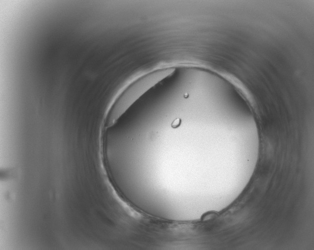 X0000069381006200605262045