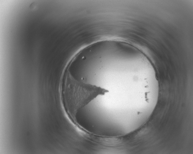 X0000069381007200605262045