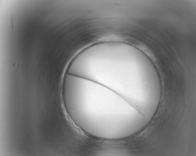 X0000069381008200605262045