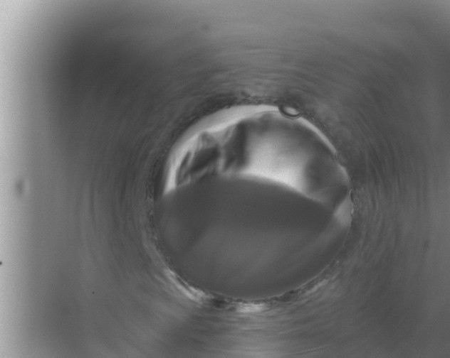 X0000069381009200605262045