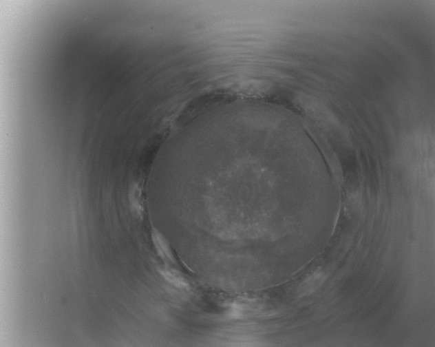 X0000069381010200605262045