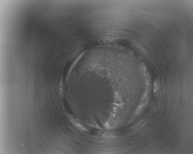 X0000069381011200605262045