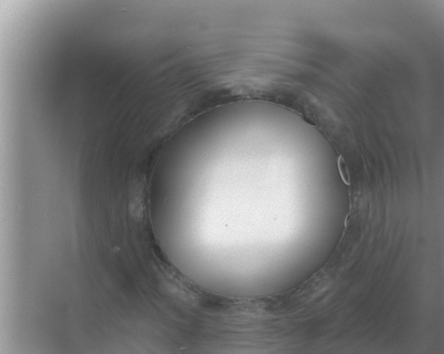 X0000069381012200605262045