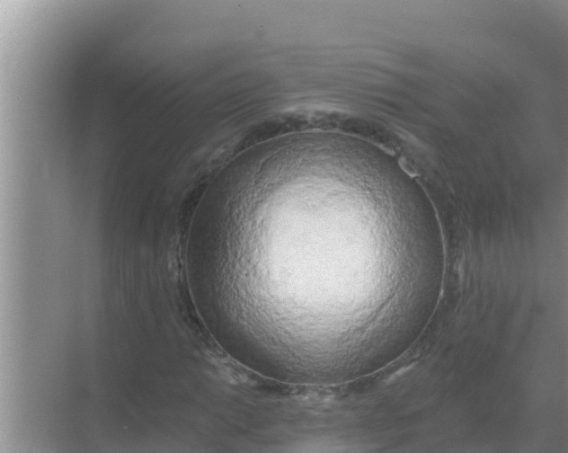 X0000069381014200605262045