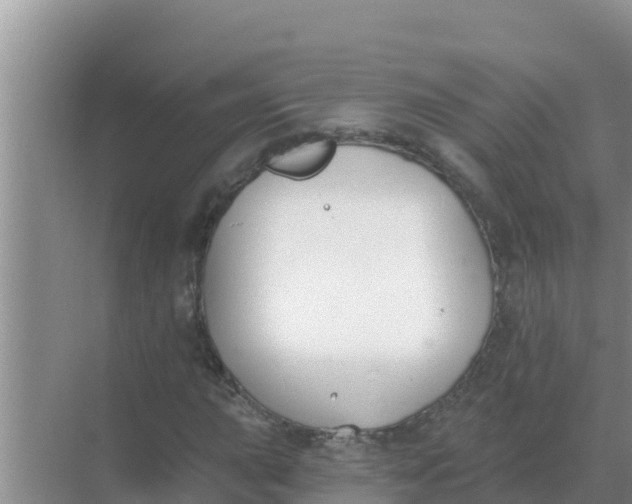 X0000069381015200605262045