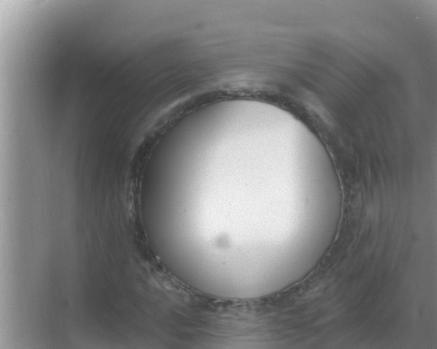 X0000069381016200605262045